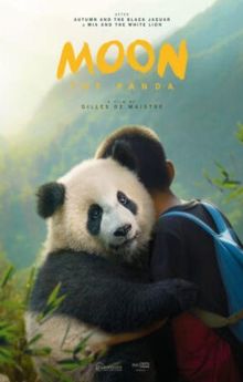 Moon The Panda Moon The Panda