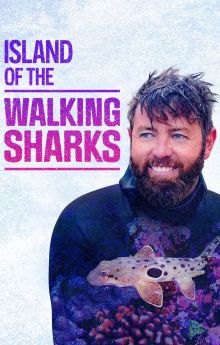 Island of the Walking Sharks Island of the Walking Sharks