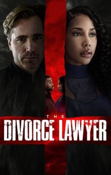 The Divorce Lawyer The Divorce Lawyer